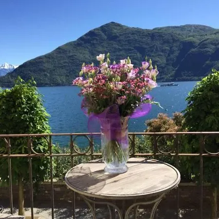 Apartment - Vista