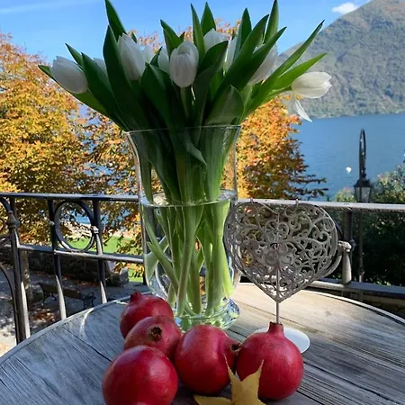 - Vista - Luxury *