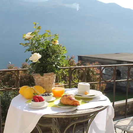 - Vista - Luxury *