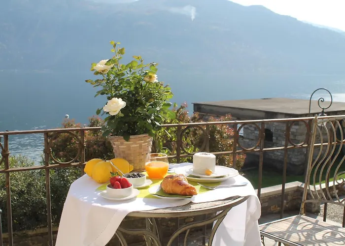 - Vista - Luxury *
